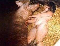 Porno pigs animal Zoo Sesso
